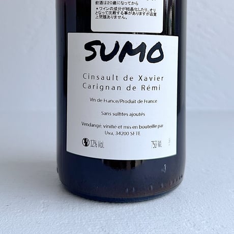<RED> SUMO 2021 / UVA