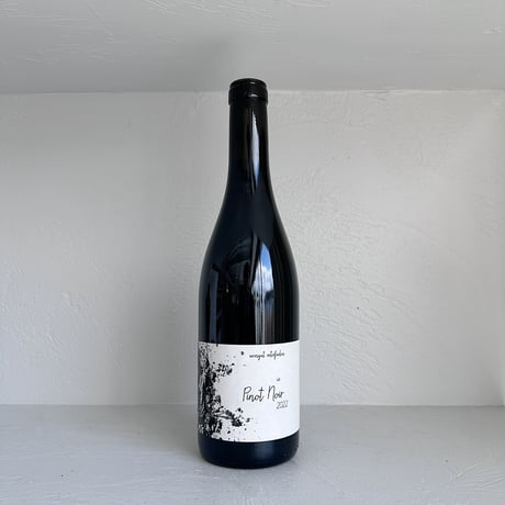 <RED> Pinot Noir 2022 / Roterfaden