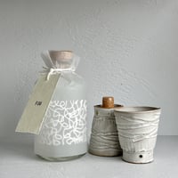 <SPECIAL LIMITED> Natsumikan GIN -FUU- / YAMATOUMI x teto ceramics x Taiki Yamanaka