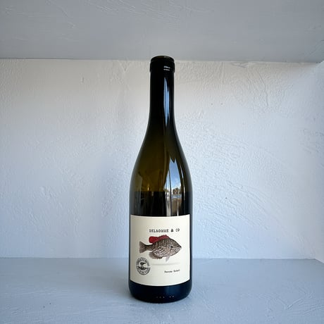 <WHITE> Pifounours 2023 / Domaine Delhomme & Co