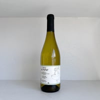 <WHITE> Touraine blanc Le Petiot 2024 / Vincent Ricard