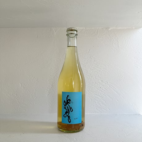 <SPARKLING,WHITE> Petnat non deco 2023 / Hannes Bergdoll