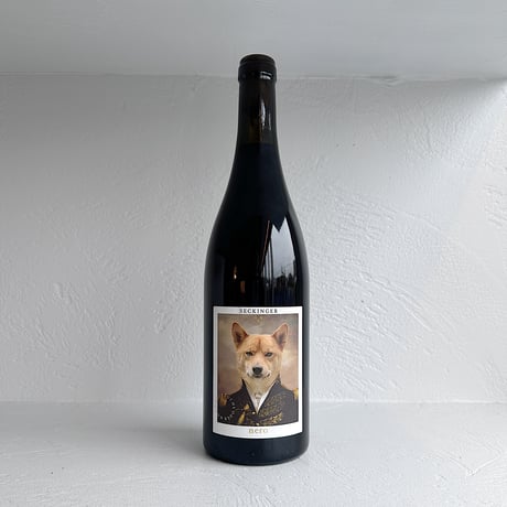 <RED> Pinot Noir Nouveau 2021 /  SECKINGER