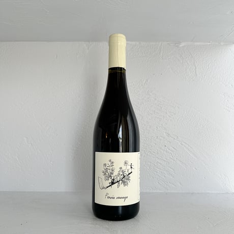 <RED> Pensees Sauvages 2021 / Vincent Chauvelot