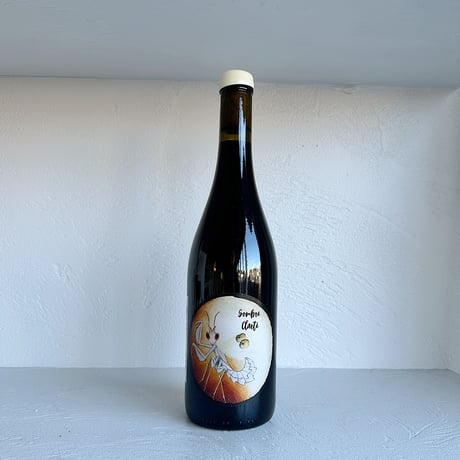 <RED> Sombre Clarte 2024 / Oxymore