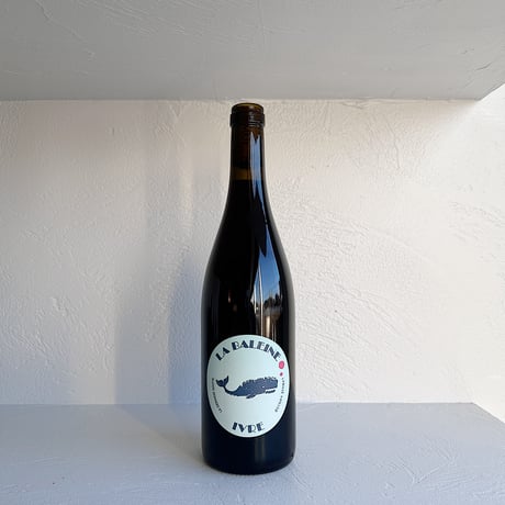 <RED> LA BALEINE IVRE 2019 / Cyrille Vuillod