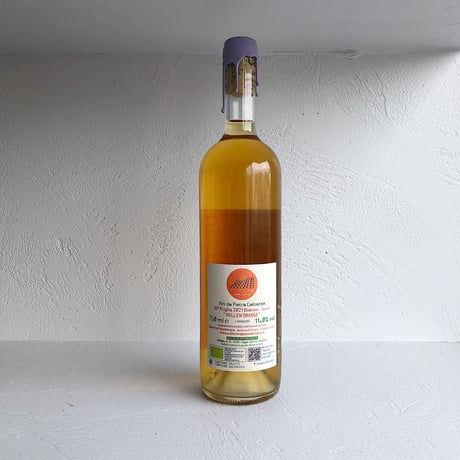 Hellen Orange 2021 / Calcarius