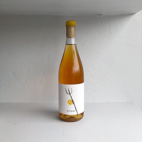 <ORANGE> Bifaro Bianco 2021 / Le Quattro Volte