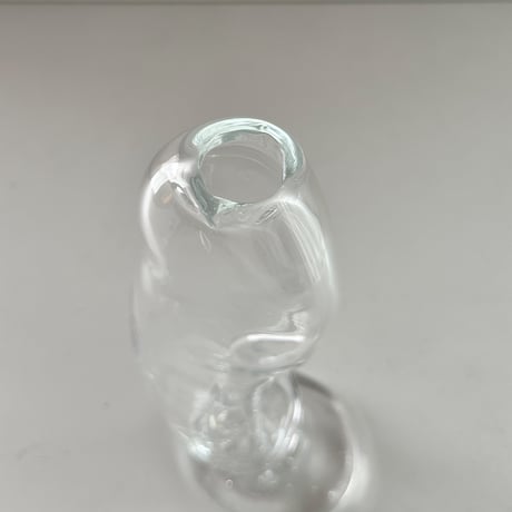 LAN vase radis (B)