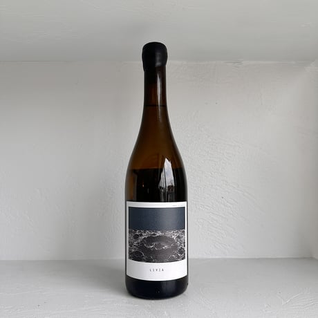 <WHITE> LIVIA 2022 / Sous Le Vegetal