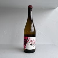<WHITE> Maitre Splinter 2020 / La Sorga