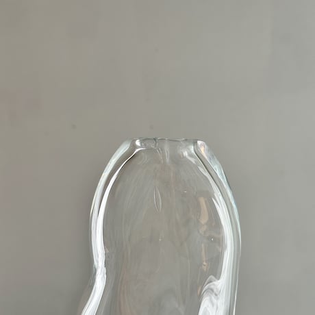 LAN vase radis (B)