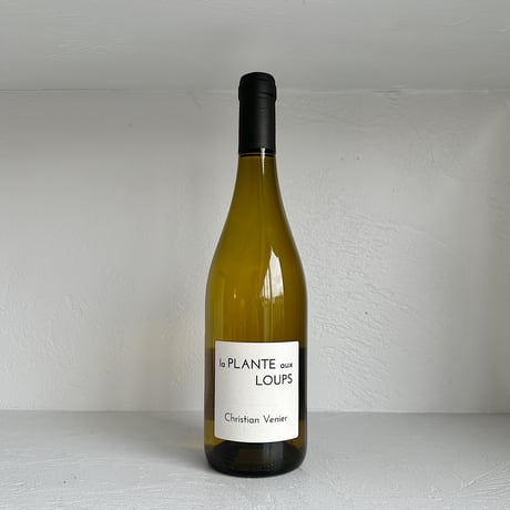 <WHITE> La Plante aux Loups 2023 / Christian Venier