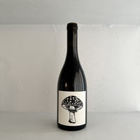 <RED> GOOD KARMA 2024 / VIN NOE