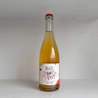 <SPARKLING,WHITE> Nous Sommes Libres Pet Nat 2021 / Moritz Prado