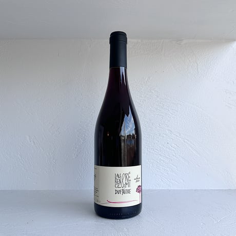 <RED> Brouilly 2021 / Remi Dufaitre