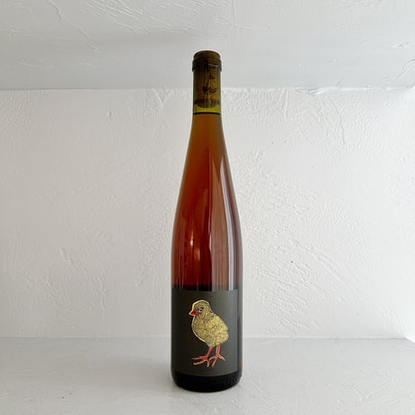 <ORANGE> Coquette 2023 / RIETSCH