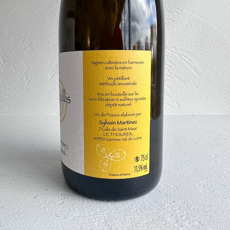 <SPARKLING,WHITE> Gazouillis 2021 / Sylvain Martinez