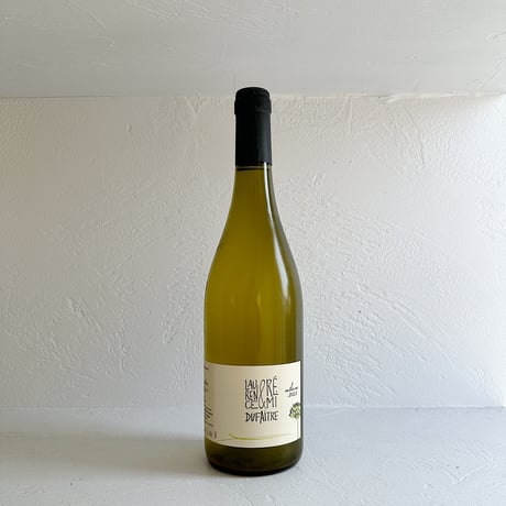 <WHITE> Beaujolais Village Blanc 2022 / Remi Dufaitre