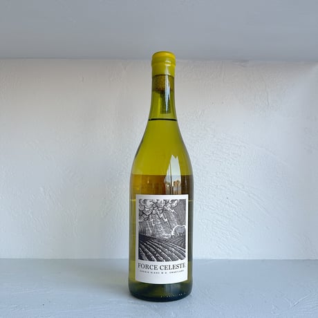 <WHITE> Force Celeste Chenin Blanc 2024 / Mother Rock Wines