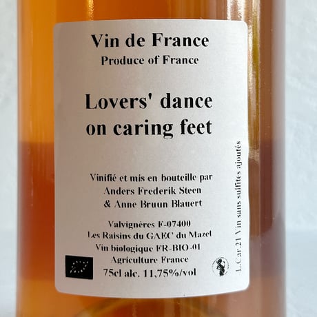 <ROSE> Lover’s dance on caring feet 2021 / Anders Frederik Steen