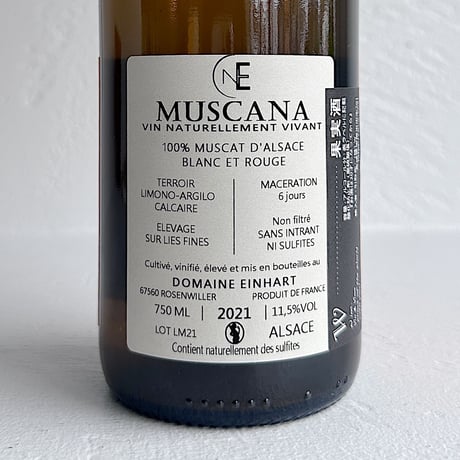<WHITE> Muscana 2021 / Einhart