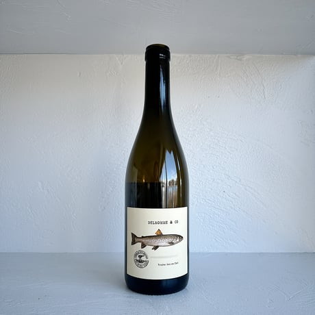 <WHITE> Vignes de la Justice 2023  / Domaine Delhomme & Co