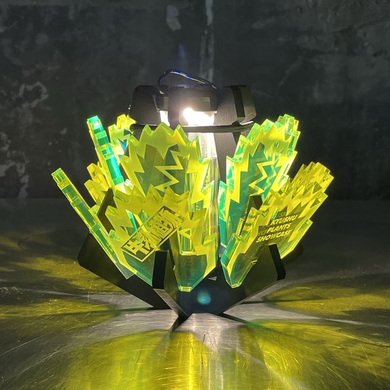 白鯨灯火 限定アイテム 牛乳植物× KYUSHU PLANTS SHOWCASE 白鯨灯火 | 牛乳植物研究所