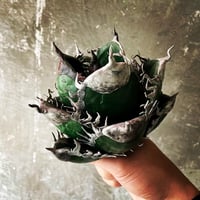 白鯨灯火 | 牛乳植物研究所