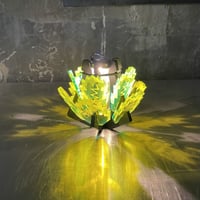 白鯨灯火