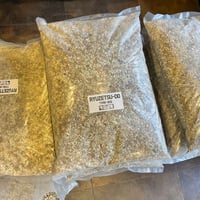 白鯨灯火 | 牛乳植物研究所