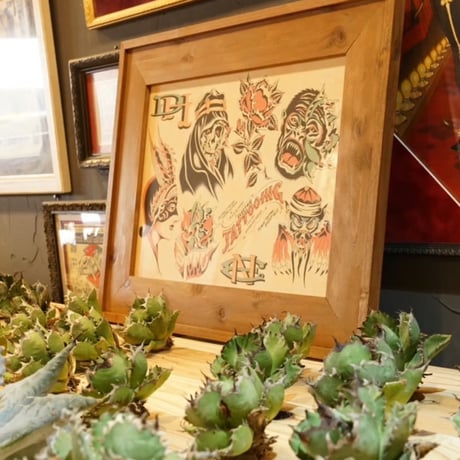 CATEGORY item | 牛乳植物研究所