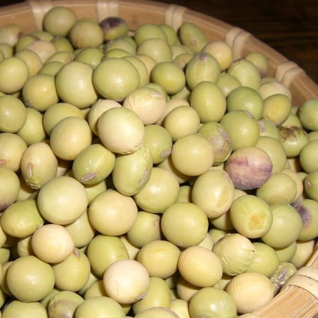 在来大豆　1kg