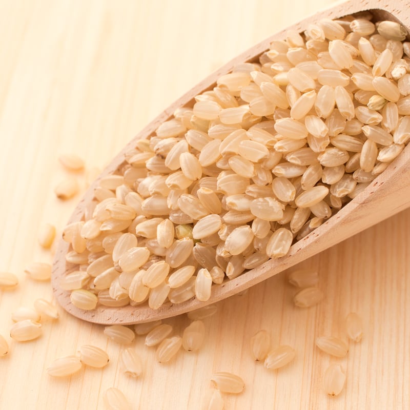 みもざ 玄米10キロ 2024年産 自然農法 みもざ 玄米10キロ