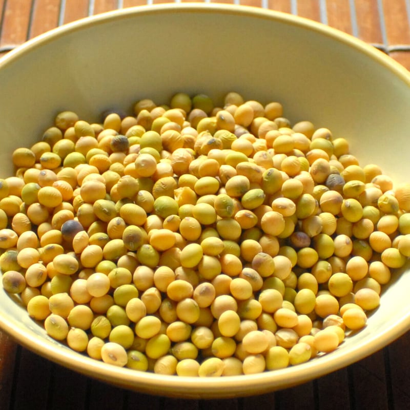 在来大豆 1kg | みやもと山ストア