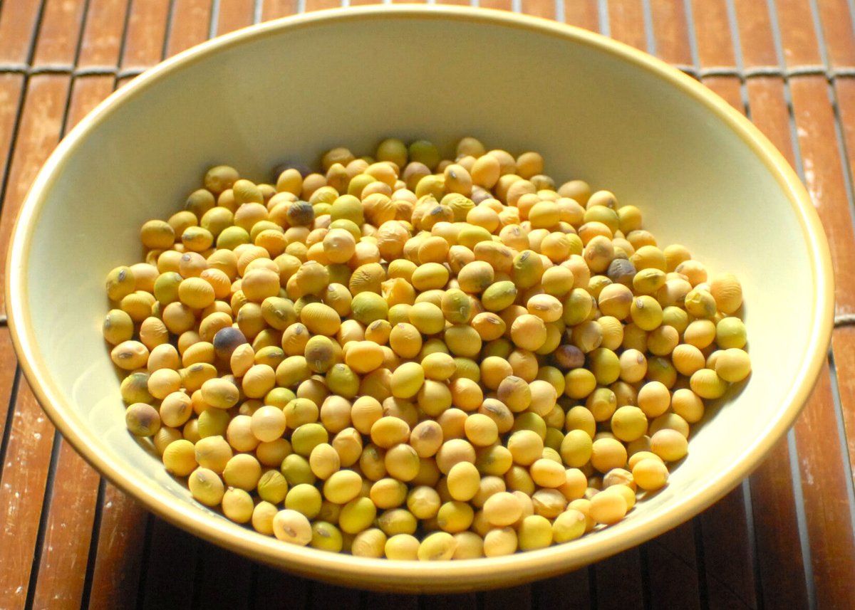 在来大豆 1kg | みやもと山ストア