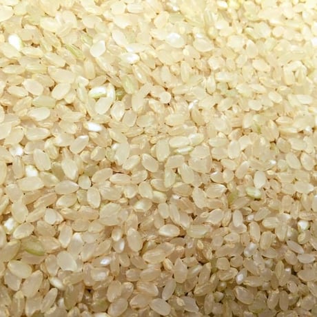 新米！減農薬・有機肥料栽培　ホタル米「分搗」