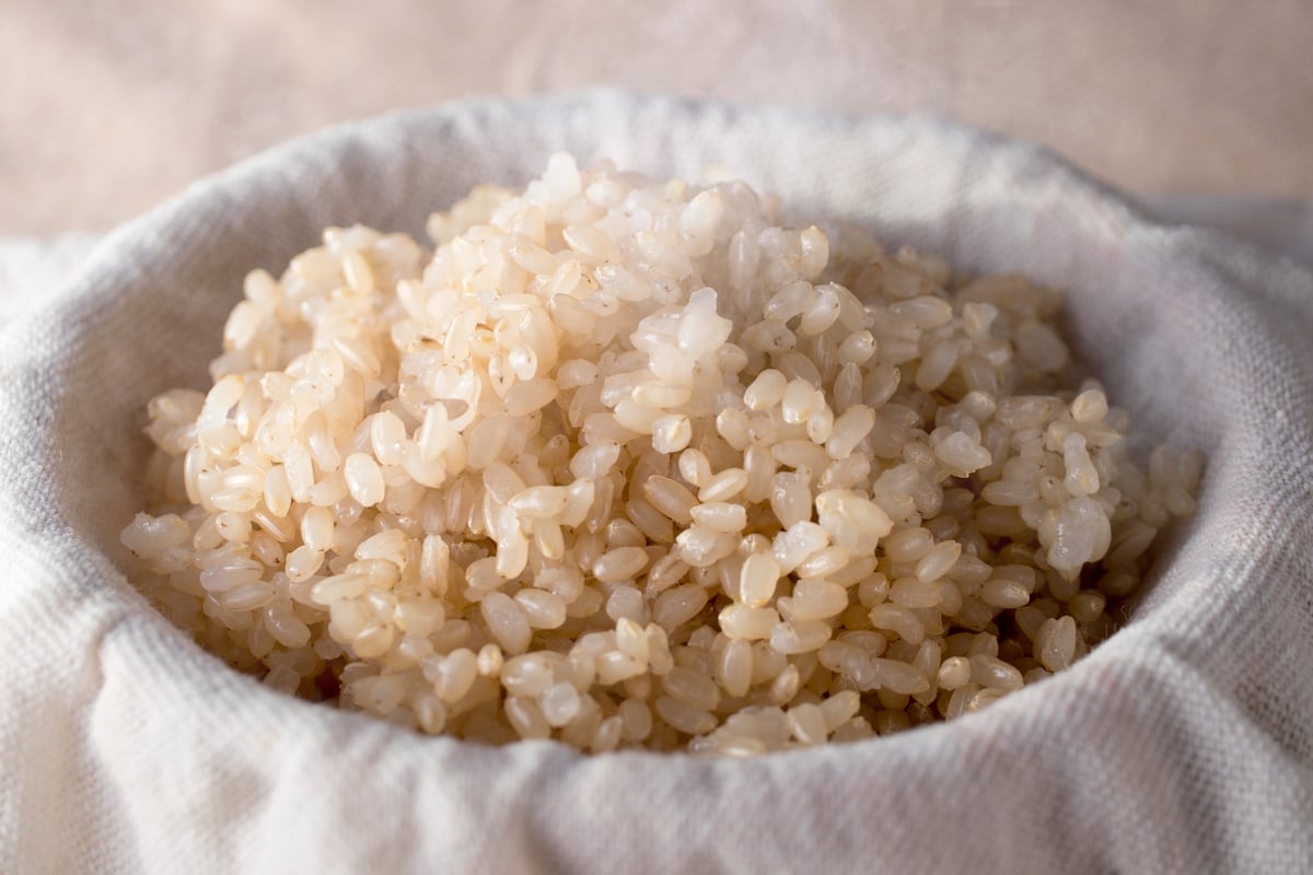 2025年産 農薬・化学肥料不使用栽培 命育む循環農法 みやもと米「玄米