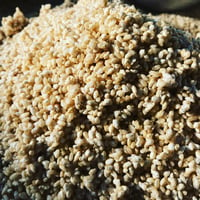 玄米糀　1kg計り売り