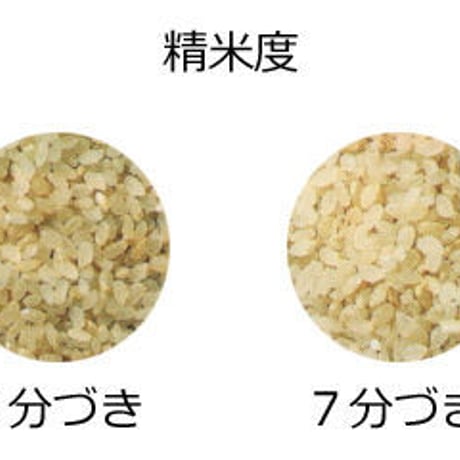 無肥料・無農薬　自然の力で育てた亀の尾「精米」