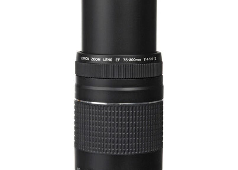 Canon EFレンズ EF75-300mm F4-5.6 IIIズームレンズ 望遠 | im