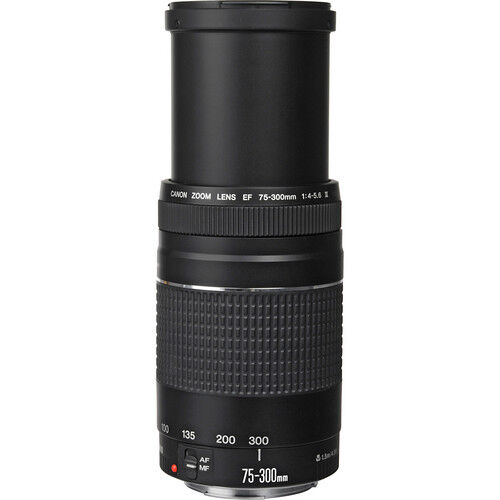 Canon EFレンズ EF75-300mm F4-5.6 IIIズームレンズ 望遠 | im
