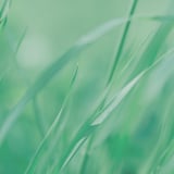 Remede douce ONLINE STORE