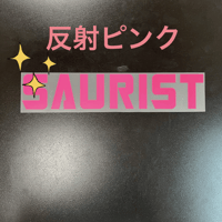 アイロンプリント　AP-SAU-300  反射ピンク