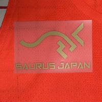 アイロンプリント（国際陸連）  AP-SJ（A）陸連-80 ゴールド