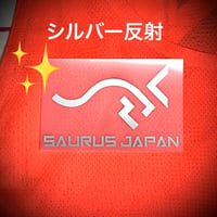 アイロンプリント　　AP-国際陸連（A） 反射シルバー