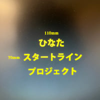 アイロンプリント　チーム名　データ作成費込み　　ひなたラン-110mm  蛍光イエロー/特別カラー
