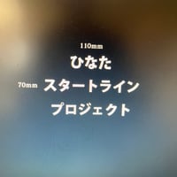 アイロンプリント　チーム名　データ作成費込み　　ひなたラン-110mm  ホワイト/標準カラー