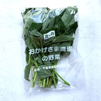 モロヘイヤ
