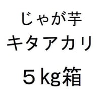 じゃが芋（キタアカリ）５㎏箱